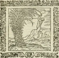 An illustration from Omnia Andreae Alciati V.C. Emblemata : cum commentariis, quibus emblematum detecta origine, dubia omnia, et obscura illustrantur (1602)