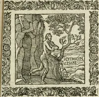 Picture 45 of 235 from Omnia Andreae Alciati V.C. Emblemata : cum commentariis, quibus emblematum detecta origine, dubia omnia, et obscura illustrantur (1602), leaf 284