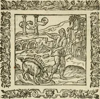 An illustration from Omnia Andreae Alciati V.C. Emblemata : cum commentariis, quibus emblematum detecta origine, dubia omnia, et obscura illustrantur (1602)