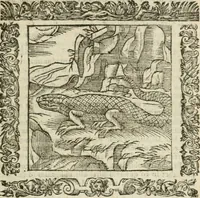 An illustration from Omnia Andreae Alciati V.C. Emblemata : cum commentariis, quibus emblematum detecta origine, dubia omnia, et obscura illustrantur (1602)