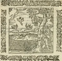 An illustration from Omnia Andreae Alciati V.C. Emblemata : cum commentariis, quibus emblematum detecta origine, dubia omnia, et obscura illustrantur (1602)