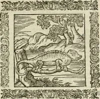 Picture 63 of 235 from Omnia Andreae Alciati V.C. Emblemata : cum commentariis, quibus emblematum detecta origine, dubia omnia, et obscura illustrantur (1602), leaf 344