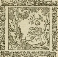 An illustration from Omnia Andreae Alciati V.C. Emblemata : cum commentariis, quibus emblematum detecta origine, dubia omnia, et obscura illustrantur (1602)