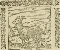 An illustration from Omnia Andreae Alciati V.C. Emblemata : cum commentariis, quibus emblematum detecta origine, dubia omnia, et obscura illustrantur (1602)