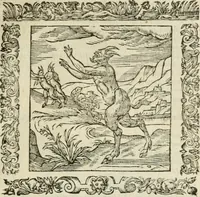 An illustration from Omnia Andreae Alciati V.C. Emblemata : cum commentariis, quibus emblematum detecta origine, dubia omnia, et obscura illustrantur (1602)