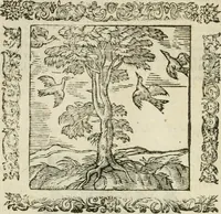 An illustration from Omnia Andreae Alciati V.C. Emblemata : cum commentariis, quibus emblematum detecta origine, dubia omnia, et obscura illustrantur (1602)
