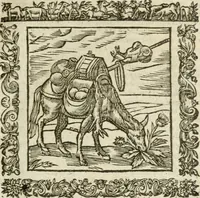 An illustration from Omnia Andreae Alciati V.C. Emblemata : cum commentariis, quibus emblematum detecta origine, dubia omnia, et obscura illustrantur (1602)