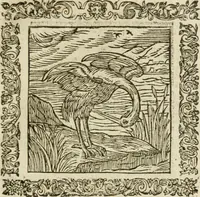 An illustration from Omnia Andreae Alciati V.C. Emblemata : cum commentariis, quibus emblematum detecta origine, dubia omnia, et obscura illustrantur (1602)