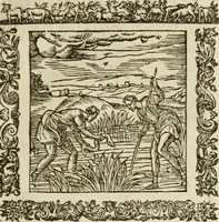 An illustration from Omnia Andreae Alciati V.C. Emblemata : cum commentariis, quibus emblematum detecta origine, dubia omnia, et obscura illustrantur (1602)