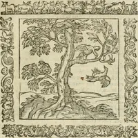 An illustration from Omnia Andreae Alciati V.C. Emblemata : cum commentariis, quibus emblematum detecta origine, dubia omnia, et obscura illustrantur (1602)