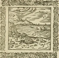 Picture 108 of 235 from Omnia Andreae Alciati V.C. Emblemata : cum commentariis, quibus emblematum detecta origine, dubia omnia, et obscura illustrantur (1602), leaf 486