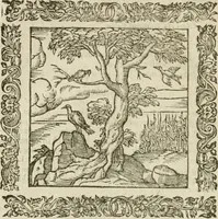 Picture 114 of 235 from Omnia Andreae Alciati V.C. Emblemata : cum commentariis, quibus emblematum detecta origine, dubia omnia, et obscura illustrantur (1602), leaf 507