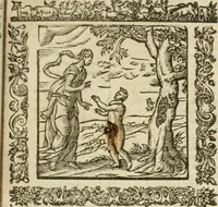 An illustration from Omnia Andreae Alciati V.C. Emblemata : cum commentariis, quibus emblematum detecta origine, dubia omnia, et obscura illustrantur (1602)