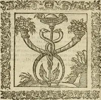 An illustration from Omnia Andreae Alciati V.C. Emblemata : cum commentariis, quibus emblematum detecta origine, dubia omnia, et obscura illustrantur (1602)