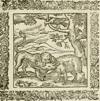 An illustration from Omnia Andreae Alciati V.C. Emblemata : cum commentariis, quibus emblematum detecta origine, dubia omnia, et obscura illustrantur (1602)