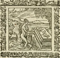 Picture 152 of 235 from Omnia Andreae Alciati V.C. Emblemata : cum commentariis, quibus emblematum detecta origine, dubia omnia, et obscura illustrantur (1602), leaf 685