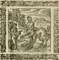 An illustration from Omnia Andreae Alciati V.C. Emblemata : cum commentariis, quibus emblematum detecta origine, dubia omnia, et obscura illustrantur (1602)