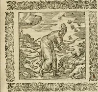 An illustration from Omnia Andreae Alciati V.C. Emblemata : cum commentariis, quibus emblematum detecta origine, dubia omnia, et obscura illustrantur (1602)