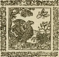 An illustration from Omnia Andreae Alciati V.C. Emblemata : cum commentariis, quibus emblematum detecta origine, dubia omnia, et obscura illustrantur (1602)