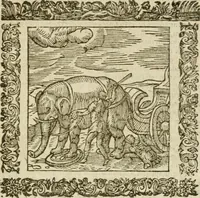 Picture 196 of 235 from Omnia Andreae Alciati V.C. Emblemata : cum commentariis, quibus emblematum detecta origine, dubia omnia, et obscura illustrantur (1602), leaf 838