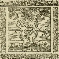 An illustration from Omnia Andreae Alciati V.C. Emblemata : cum commentariis, quibus emblematum detecta origine, dubia omnia, et obscura illustrantur (1602)