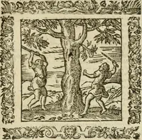 An illustration from Omnia Andreae Alciati V.C. Emblemata : cum commentariis, quibus emblematum detecta origine, dubia omnia, et obscura illustrantur (1602)