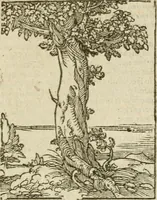 An illustration from Omnia Andreae Alciati V.C. Emblemata : cum commentariis, quibus emblematum detecta origine, dubia omnia, et obscura illustrantur (1602)