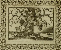 An illustration from Omnia Andreae Alciati v.c. emblemata : cum commentariis, quibus emblematum omnium aperta origine, mens authoris explicatur, & obscura omnia dubiaque illustrantur (1583)
