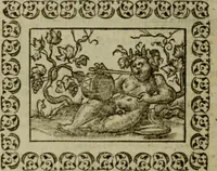 Picture 33 of 241 from Omnia Andreae Alciati v.c. emblemata : cum commentariis, quibus emblematum omnium aperta origine, mens authoris explicatur, & obscura omnia dubiaque illustrantur (1583), leaf 127
