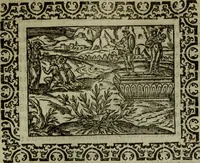 An illustration from Omnia Andreae Alciati v.c. emblemata : cum commentariis, quibus emblematum omnium aperta origine, mens authoris explicatur, & obscura omnia dubiaque illustrantur (1583)