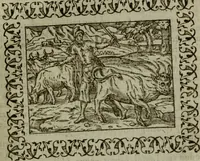 Picture 43 of 241 from Omnia Andreae Alciati v.c. emblemata : cum commentariis, quibus emblematum omnium aperta origine, mens authoris explicatur, & obscura omnia dubiaque illustrantur (1583), leaf 166