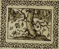 An illustration from Omnia Andreae Alciati v.c. emblemata : cum commentariis, quibus emblematum omnium aperta origine, mens authoris explicatur, & obscura omnia dubiaque illustrantur (1583)