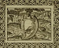 Picture 57 of 241 from Omnia Andreae Alciati v.c. emblemata : cum commentariis, quibus emblematum omnium aperta origine, mens authoris explicatur, & obscura omnia dubiaque illustrantur (1583), leaf 205