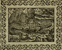 An illustration from Omnia Andreae Alciati v.c. emblemata : cum commentariis, quibus emblematum omnium aperta origine, mens authoris explicatur, & obscura omnia dubiaque illustrantur (1583)