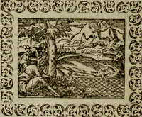 An illustration from Omnia Andreae Alciati v.c. emblemata : cum commentariis, quibus emblematum omnium aperta origine, mens authoris explicatur, & obscura omnia dubiaque illustrantur (1583)