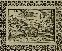 Picture 63 of 241 from Omnia Andreae Alciati v.c. emblemata : cum commentariis, quibus emblematum omnium aperta origine, mens authoris explicatur, & obscura omnia dubiaque illustrantur (1583), leaf 221