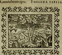 An illustration from Omnia Andreae Alciati v.c. emblemata : cum commentariis, quibus emblematum omnium aperta origine, mens authoris explicatur, & obscura omnia dubiaque illustrantur (1583)