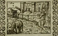 An illustration from Omnia Andreae Alciati v.c. emblemata : cum commentariis, quibus emblematum omnium aperta origine, mens authoris explicatur, & obscura omnia dubiaque illustrantur (1583)