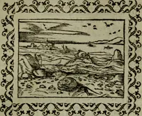 Picture 109 of 241 from Omnia Andreae Alciati v.c. emblemata : cum commentariis, quibus emblematum omnium aperta origine, mens authoris explicatur, & obscura omnia dubiaque illustrantur (1583), leaf 330