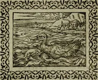 Picture 110 of 241 from Omnia Andreae Alciati v.c. emblemata : cum commentariis, quibus emblematum omnium aperta origine, mens authoris explicatur, & obscura omnia dubiaque illustrantur (1583), leaf 332