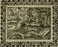 Picture 112 of 241 from Omnia Andreae Alciati v.c. emblemata : cum commentariis, quibus emblematum omnium aperta origine, mens authoris explicatur, & obscura omnia dubiaque illustrantur (1583), leaf 336