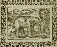 Picture 143 of 241 from Omnia Andreae Alciati v.c. emblemata : cum commentariis, quibus emblematum omnium aperta origine, mens authoris explicatur, & obscura omnia dubiaque illustrantur (1583), leaf 431