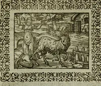 An illustration from Omnia Andreae Alciati v.c. emblemata : cum commentariis, quibus emblematum omnium aperta origine, mens authoris explicatur, & obscura omnia dubiaque illustrantur (1583)