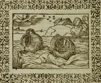 Picture 188 of 241 from Omnia Andreae Alciati v.c. emblemata : cum commentariis, quibus emblematum omnium aperta origine, mens authoris explicatur, & obscura omnia dubiaque illustrantur (1583), leaf 549