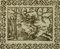 Picture 218 of 241 from Omnia Andreae Alciati v.c. emblemata : cum commentariis, quibus emblematum omnium aperta origine, mens authoris explicatur, & obscura omnia dubiaque illustrantur (1583), leaf 637
