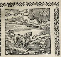 An illustration from Omnia Andreae Alciati v.c. Emblemata : cum commentariis quibus emblematum detecta origine, dubia omnia et obscura illustrantur (1618)