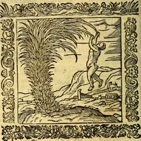 An illustration from Omnia Andreae Alciati v.c. emblemata, cum commentariis, quibus emblematum aperta origine mens auctoris explicatur, & obscura omnia, dubiáque illustrantur Adiectae ad calcem Notae posteriores (1589)