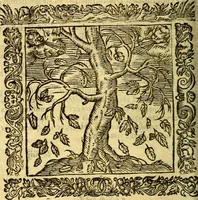 An illustration from Omnia Andreae Alciati v.c. emblemata, cum commentariis, quibus emblematum aperta origine mens auctoris explicatur, & obscura omnia, dubiáque illustrantur Adiectae ad calcem Notae posteriores (1589)