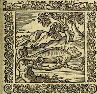 An illustration from Omnia Andreae Alciati v.c. emblemata, cum commentariis, quibus emblematum aperta origine mens auctoris explicatur, & obscura omnia, dubiáque illustrantur Adiectae ad calcem Notae posteriores (1589)