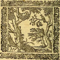 An illustration from Omnia Andreae Alciati v.c. emblemata, cum commentariis, quibus emblematum aperta origine mens auctoris explicatur, & obscura omnia, dubiáque illustrantur Adiectae ad calcem Notae posteriores (1589)